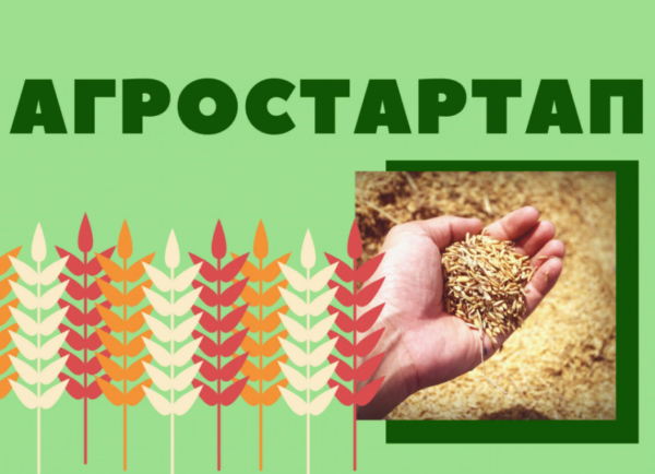 В Брянской области начался месяц агростартапа