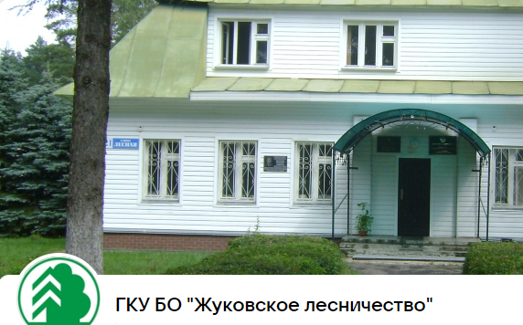 Госпаблики: Жуковское лесничество