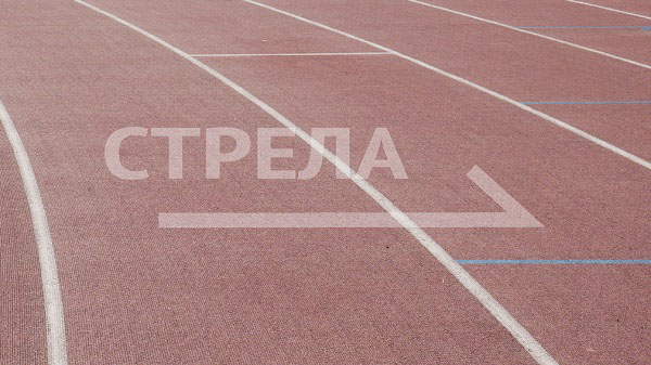 Впервые в Брянске провели «Ночной забег»