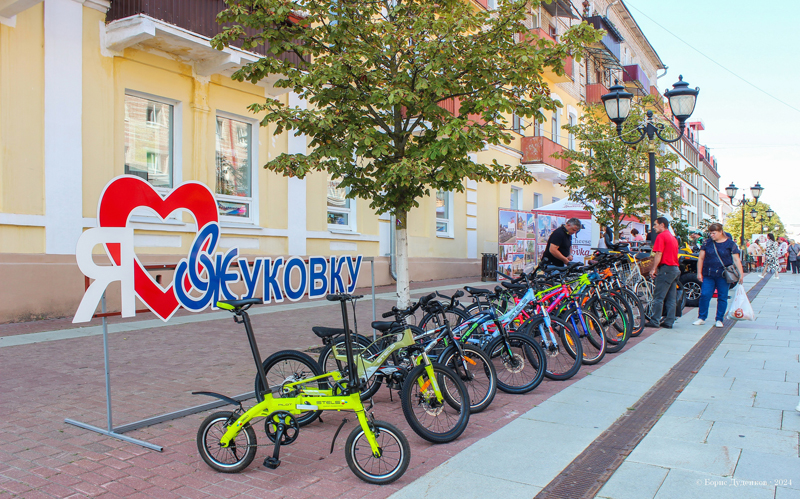 В Брянске в рамках Дней муниципалитетов экспозицию представил Жуковский округ