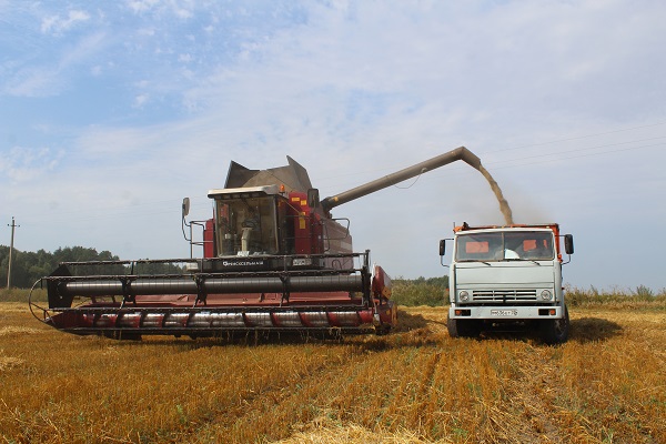 В Жуковском округе завершается уборочная страда