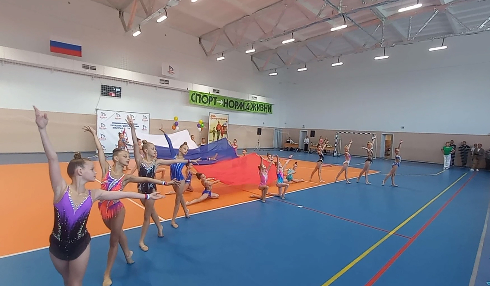 В Брянской области развивается более 80 видов спорта