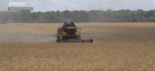 В Севском районе Брянщины идет уборка урожая