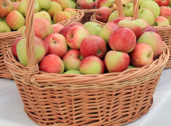 В Жуковском округе стартуют ярмарки выходного дня