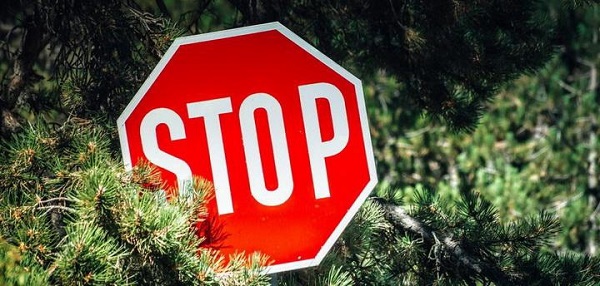 Жуковское лесничество информирует о продлении запрета на посещение лесов