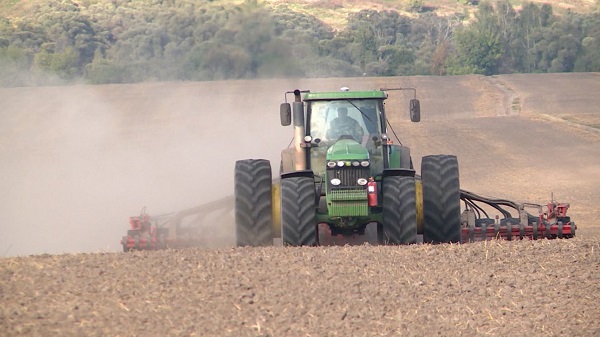 В Брянской области завершается сев озимых