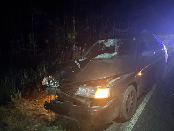 В Жуковском округе произошло смертельное ДТП с велосипедистом