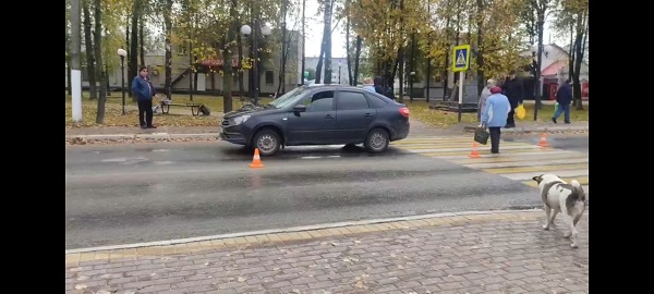 В Жуковке произошло ДТП