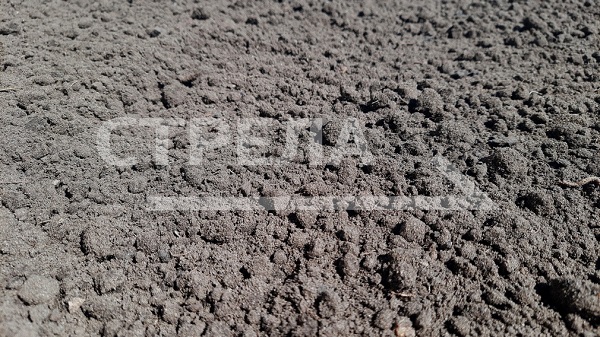 Брянским многодетным семьям предоставили почти семь тысяч земельных участков