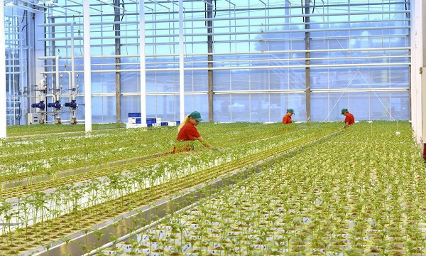 В Брянской области реализуется государственная программа «Комплексное развитие сельских территорий Брянской области»