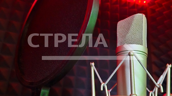 Брянцев приглашают в ДК Медведева на концерт ко Дню матери