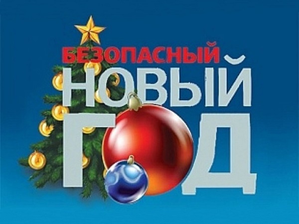 ОНДиПР Жуковского округа напоминает о пожарной безопасности в Новый год