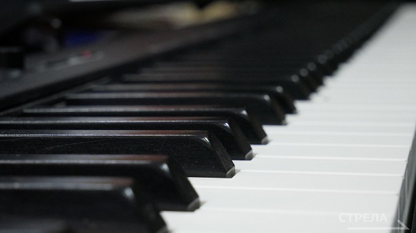 За семь лет проект «Культура малой Родины» охватил 184 брянских Домов культуры