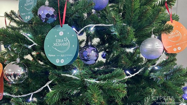 Губернатор Брянщины Александр Богомаз открыл «Ёлку желаний»