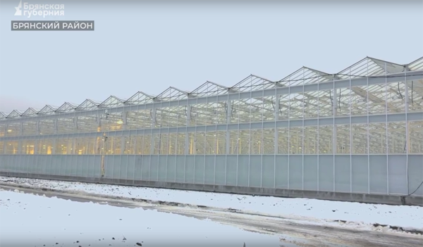 В брянских Журиничах готовят к запуску в работу новые теплицы