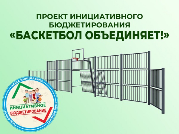 Жуковские активисты просят поддержать проект инициативного бюджетирования — «Баскетбол объединяет!» 