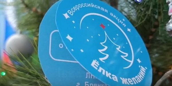 Исполнили новогодние мечты детей из Брянки брянские общественники и добровольцы