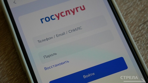 Брянцы смогут воспользоваться функцией гостевого режима в приложении Госуслуги.Дом