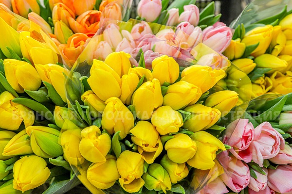 Дорожное управление Брянска подарит женщинам 20 тысяч тюльпанов