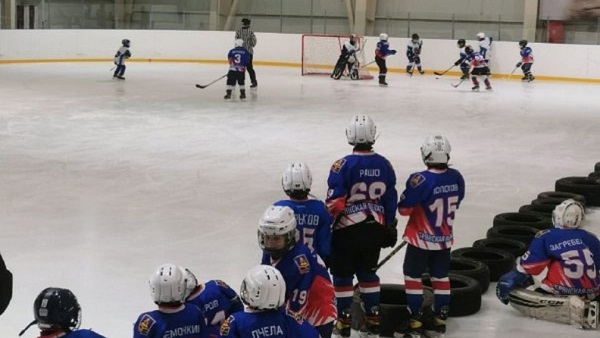 В Жуковке проходит фестиваль хоккея