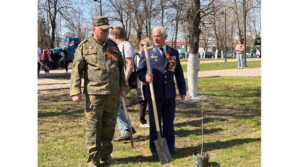 В Брянске в сквере Ленина высадили рябиновую аллею