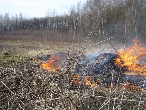 ОНДиПР по Жуковскому округу призывает соблюдать правила пожарной безопасности