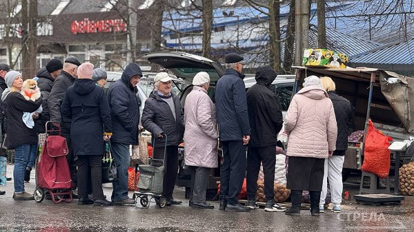 На сельхозярмарке брянцы выстроились в очереди за дешевым картофелем