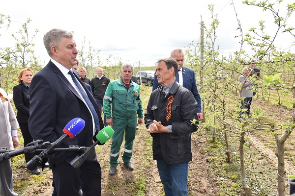 В Клетнянском районе Брянщины посадили молодые вишни