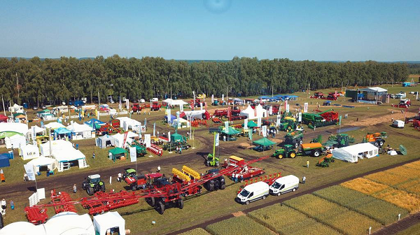 Продолжается подготовка к международной выставке «День Брянского поля — 2025»