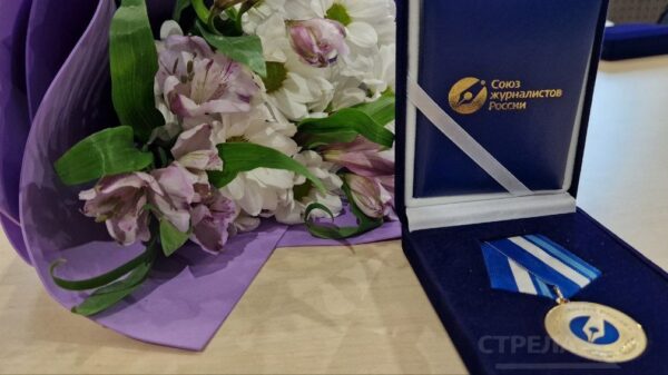 Награды Союза журналистов России вручены работникам брянских СМИ