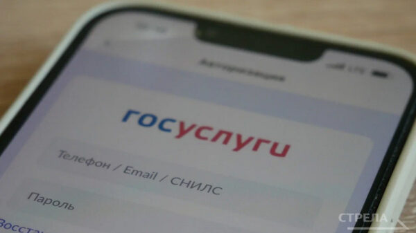 Приложение «Госуслуги.Дом» помогает брянцам разбираться в коммунально-бытовых проблемах