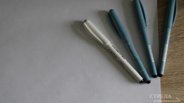 Сегодня брянцы сдают Единый госэкзамен по биологии, географии и иностранным языкам