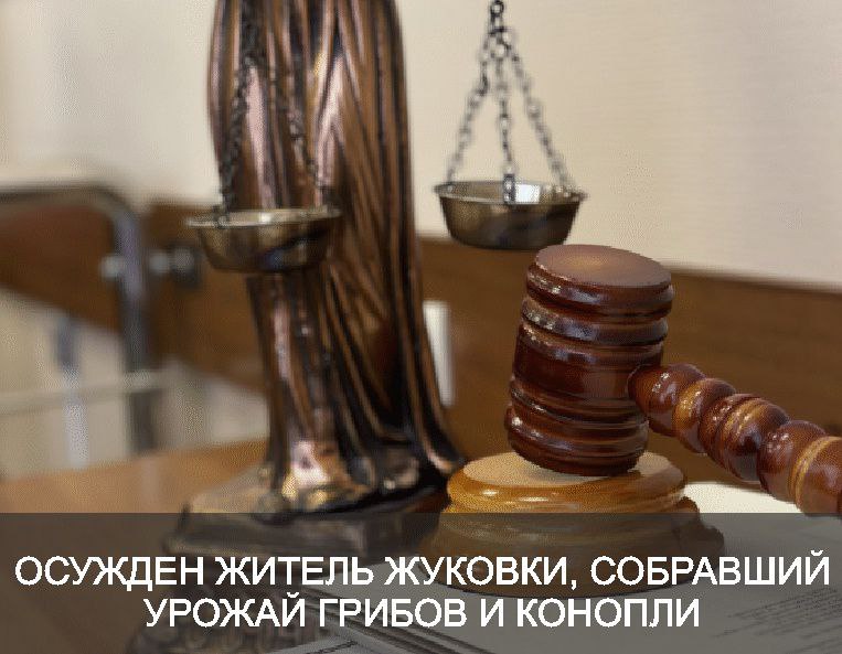 Жителю Жуковки дали условный срок за хранение наркотиков