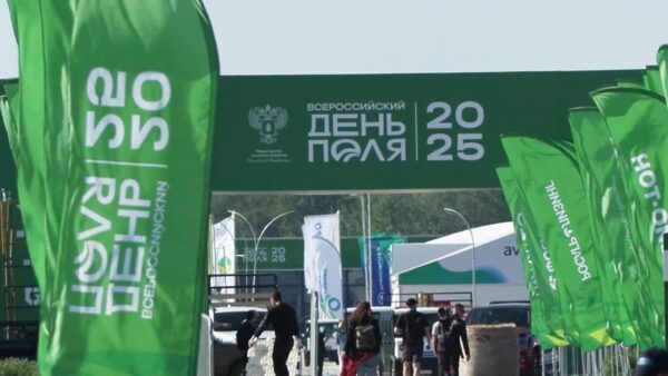 Делегация Брянской области участвует во «Всероссийском Дне поля — 2025»