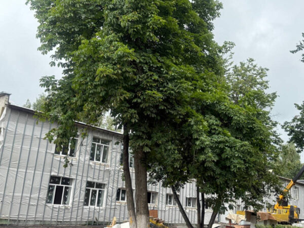 Ремонт детсада «Солнышко» в Жуковке перешагнул 50%-ную отметку