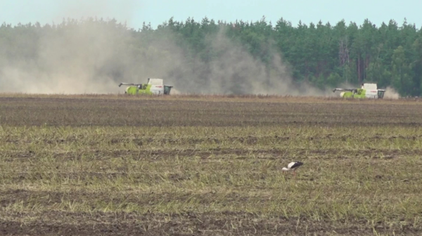 В Стародубском районе прошел региональный сельскохозяйственный семинар