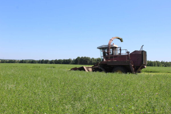 Комаричские агропредприятия ведут заготовку сена и сенажа