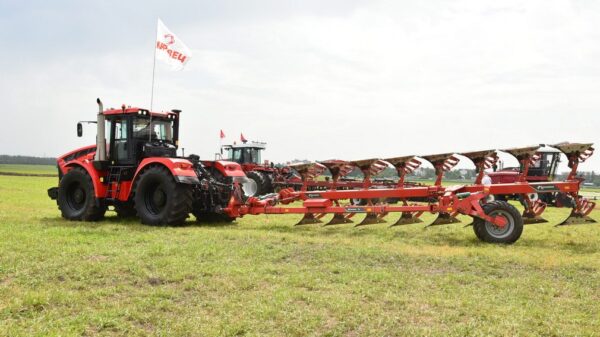 Выставка «День Брянского поля» познакомила гостей с передовыми достижениями аграрной отрасли