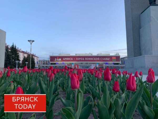 Брянская область вошла в программу восстановления пострадавших территорий