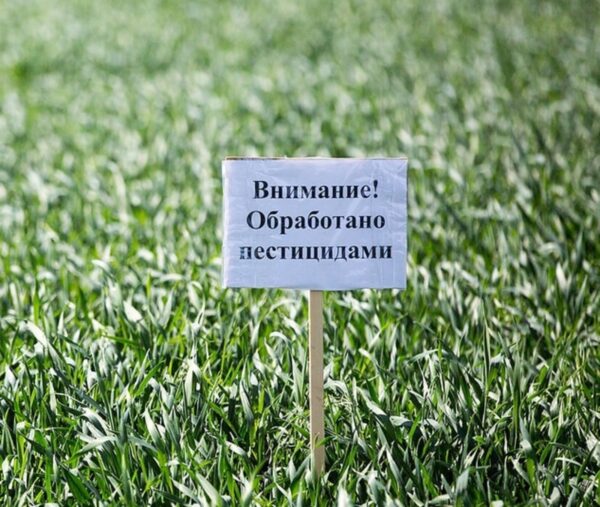 Об обработке сельскохозяйственных культур пестицидами и агрохимикатами в Жуковском районе