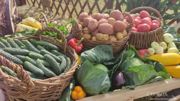 В Брянске в ближайшую субботу пройдет ярмарка выходного дня