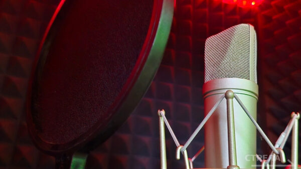 В брянском зале «Дружба» прошёл концерт «Музыка мультфильмов»