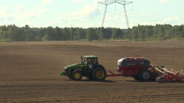 На Брянщине началась посевная кампания озимых культур