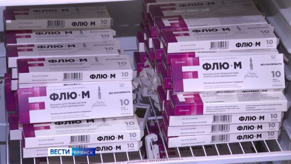 На Брянщине началась кампания  вакцинирования против гриппа