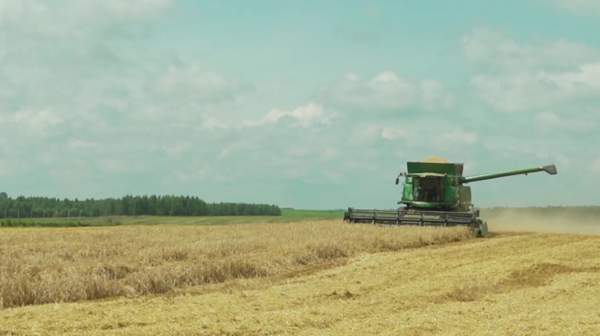 В Климовском районе в разгаре уборочная кампания