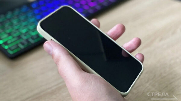 В MAX появился канал оперативной информации Правительства Брянской области