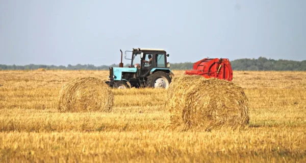 На сельскохозяйственных полях Жуковского округа – весь комплекс сезонных работ