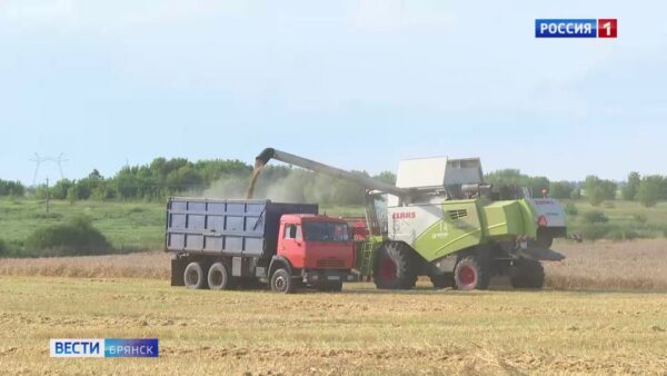 В Брянской области завершена уборка зерновых и зернобобовых культур