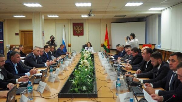 Депутаты Брянского горсовета поддержали идею установки памятника братьям Ткачевым