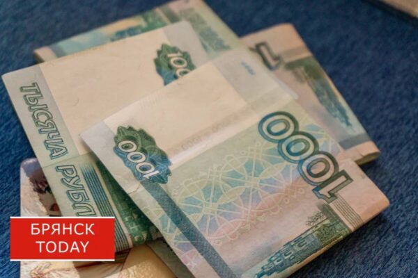 Нацпроект помогает брянским предпринимателям получать льготные кредиты от государства